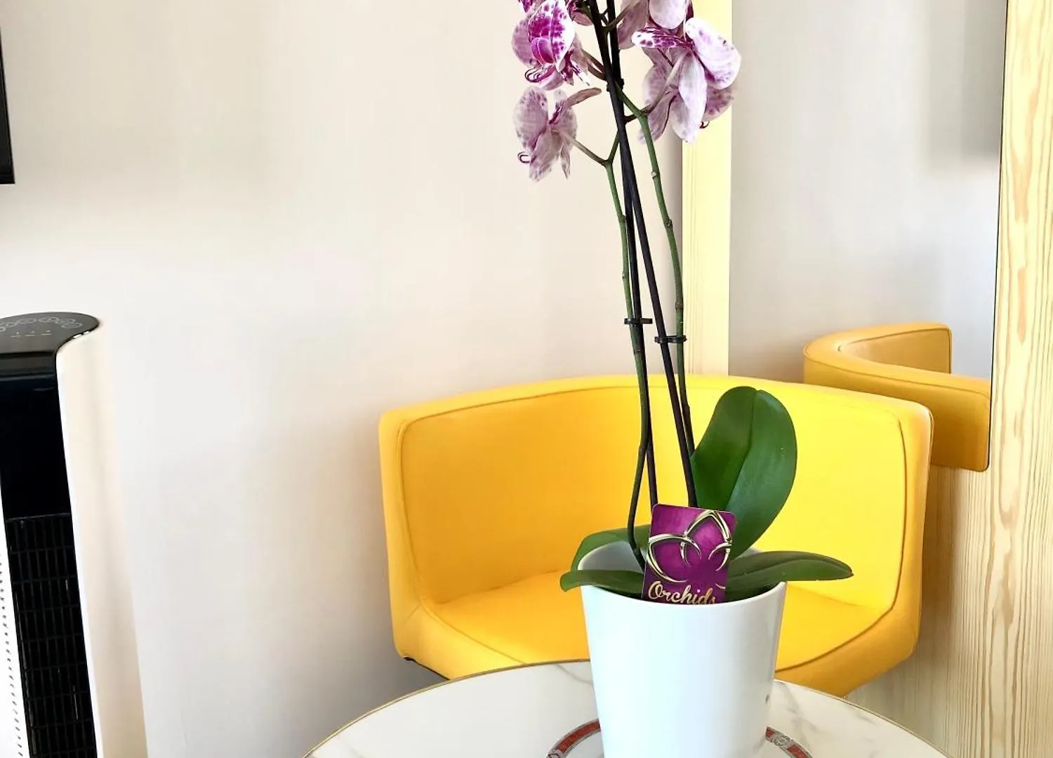 Homestay Appartement Lucas Salle De Bain Privative Paris France